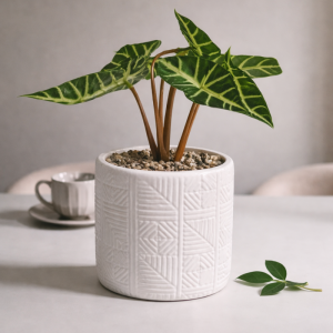 Peça Decorativa